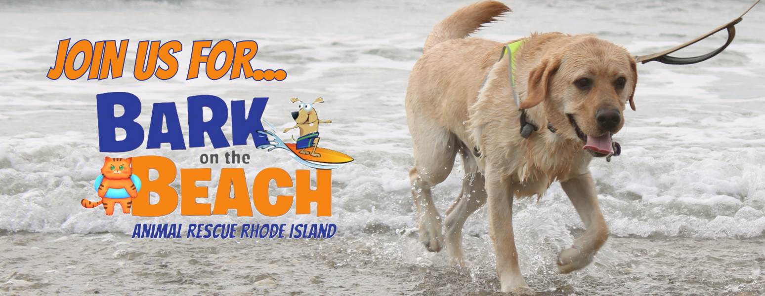 Bark on the Beach 2026