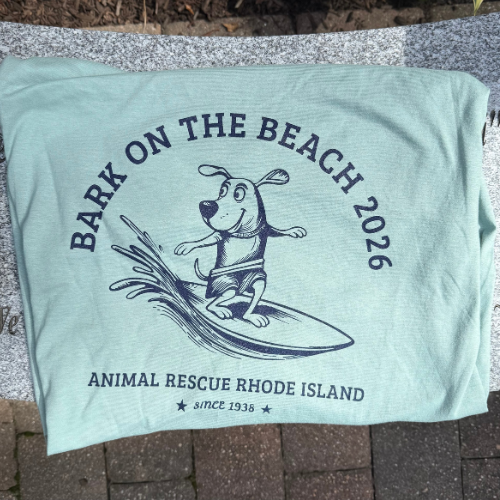 BOTB T-Shirt.png